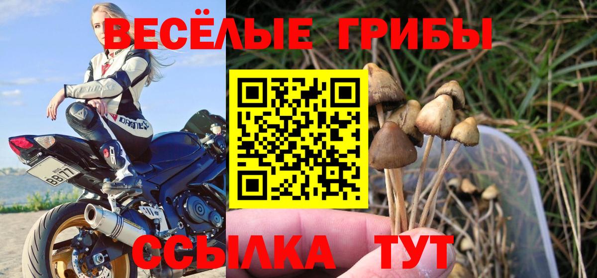 Псилоцибиновые грибы мицелий  Галлюциногенные грибы мицелий  Мытищи  Вход с VPN 