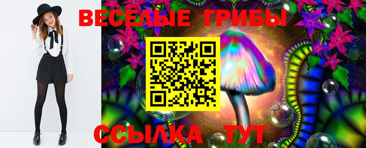 Галлюциногенные грибы мицелий Мытищи